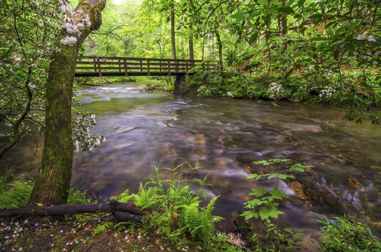 Bear View Chalet, 3 Bedroom, Pool, Pets, Arcades, Wifi, Hot Tub, Sleeps 12 Gatlinburg Buitenkant foto