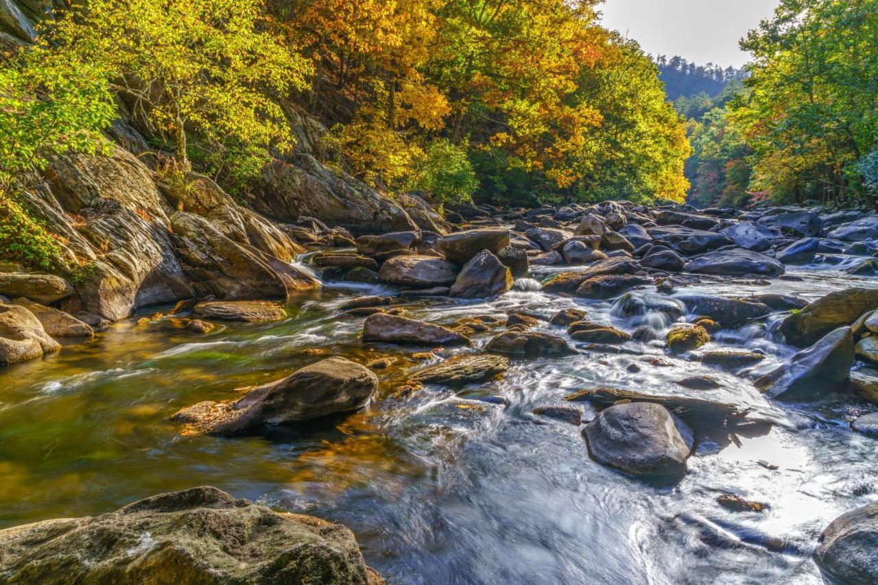 Bear View Chalet, 3 Bedroom, Pool, Pets, Arcades, Wifi, Hot Tub, Sleeps 12 Gatlinburg Buitenkant foto